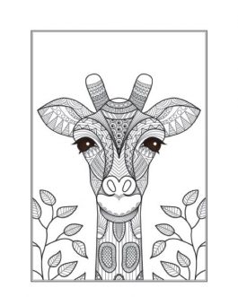 Animals & Under Water Anti-Stress Colouring Books