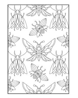 Patterns In Nature Advanced Colouring Book