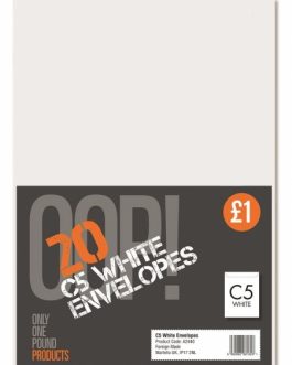 25 C5 White Envelopes